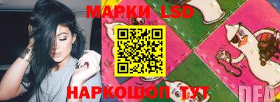 молекула духа Кингисепп