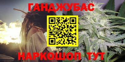 молекула духа Кингисепп