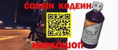 молекула духа Кингисепп