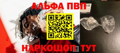 молекула духа Кингисепп