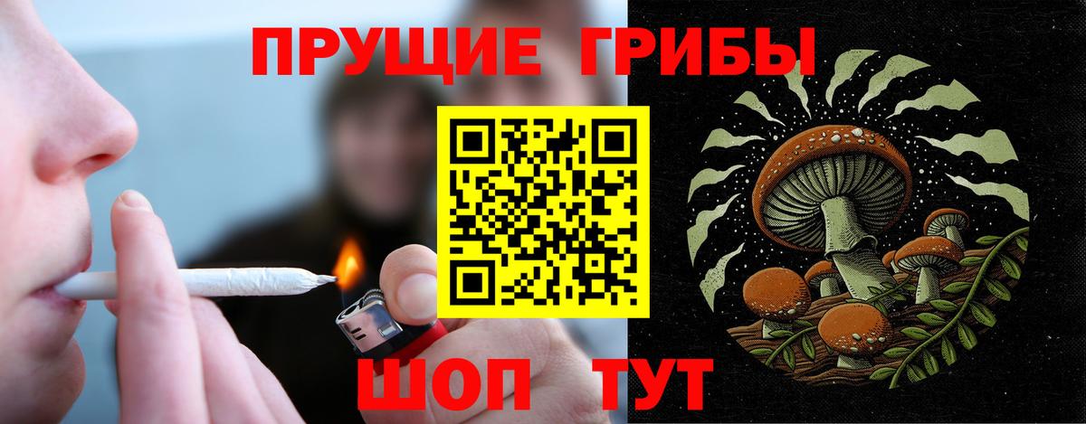 Псилоцибиновые грибы мицелий  Псилоцибиновые грибы GOLDEN TEACHER  Вход с VPN  Корсаков 